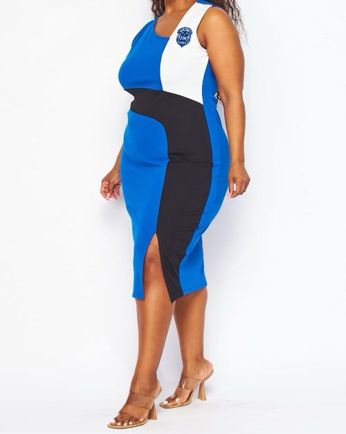 That Black and Blue Block | Zeta Phi Beta