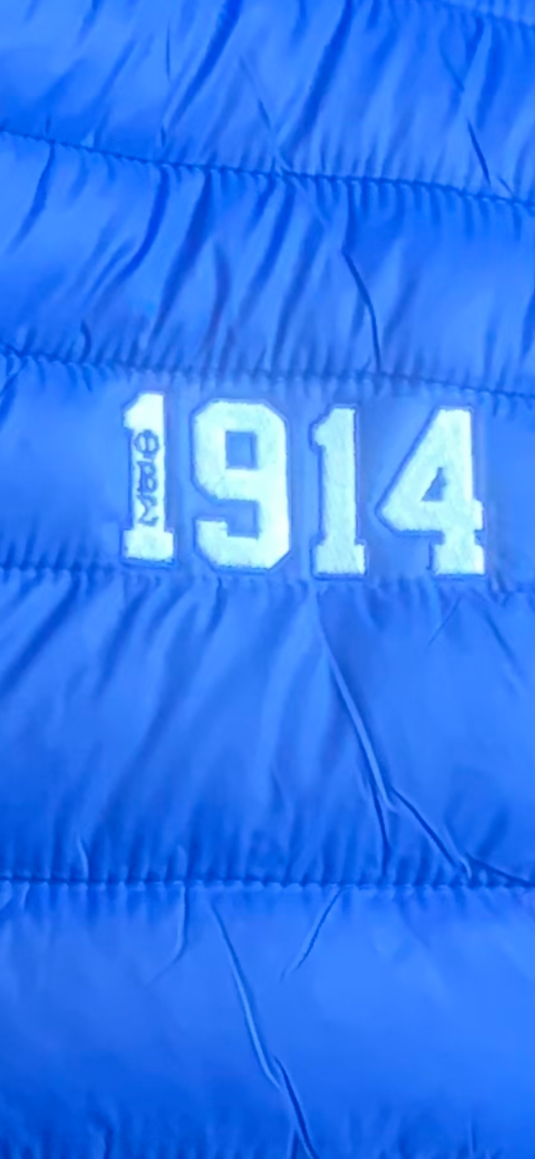 Sigma Puff Vest