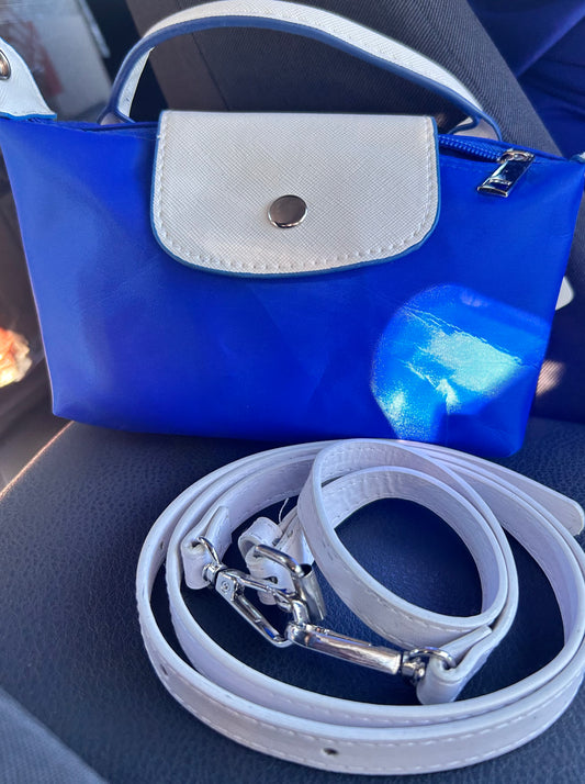 Cute blue and white clutch