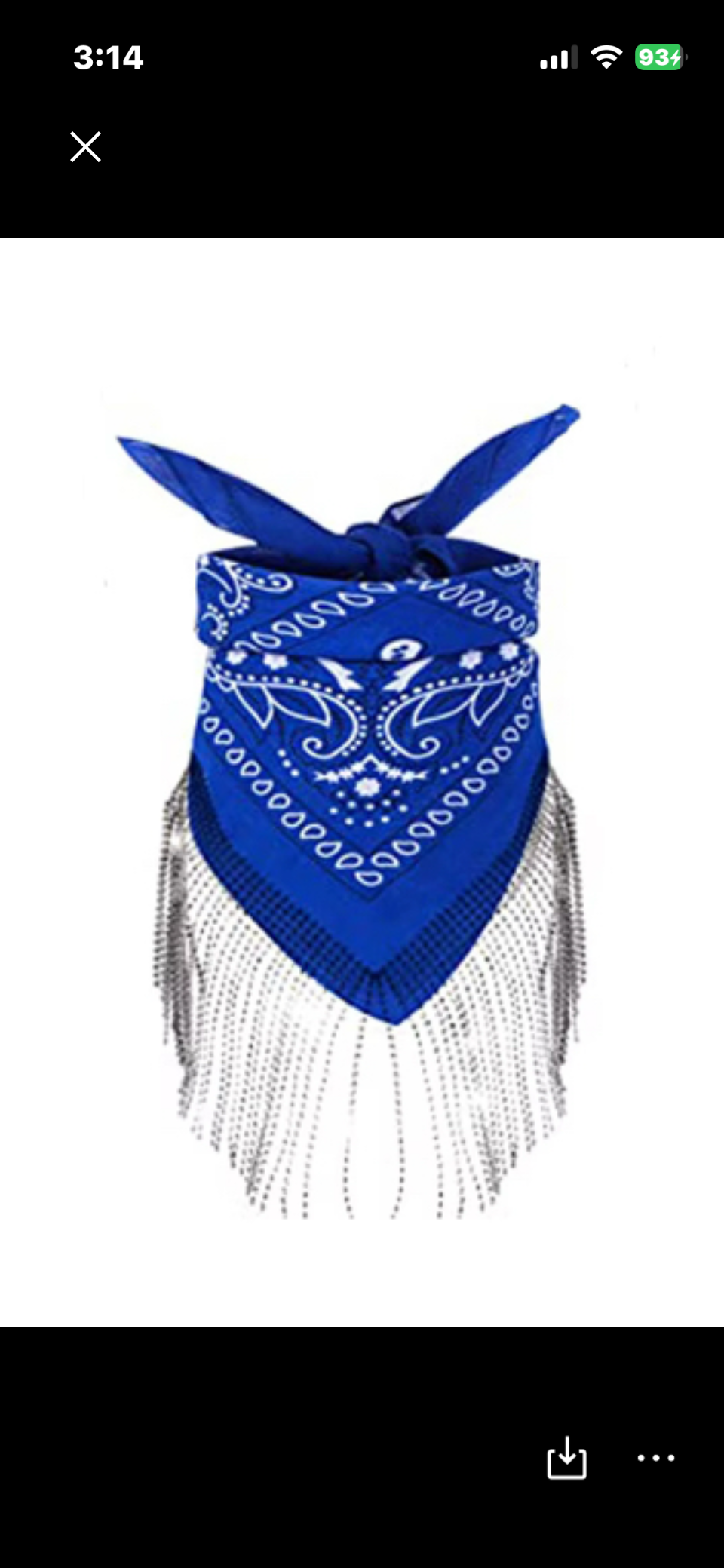Rodeo Rags Bandana