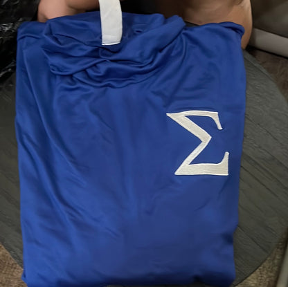 Sigma Sleek Turtleneck